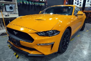װ DLS