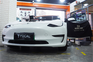 װ FOCAL 165AGL